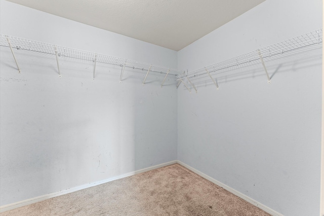 12742 Pelican Bay Dr, Houston, TX 77038 - photo 11