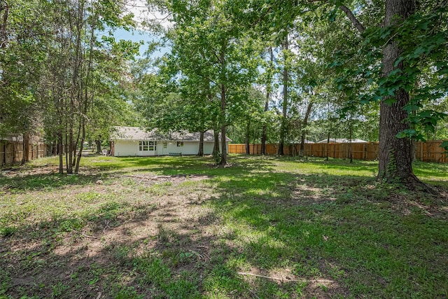 23227 Albert Dr, Porter, TX 77365 - photo 36