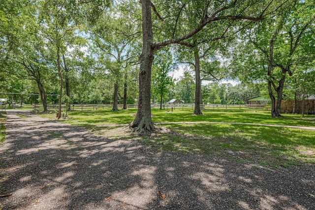 23227 Albert Dr, Porter, TX 77365 - photo 5