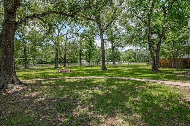 23227 Albert Dr, Porter, TX 77365 - photo 6