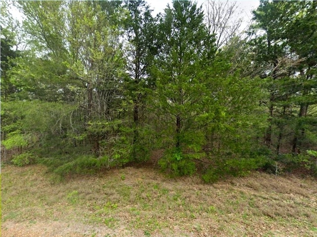 320 Oak Forest Rd, Somerville, TX 77879 - photo 1