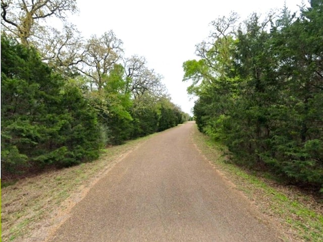 320 Oak Forest Rd, Somerville, TX 77879 - photo 2