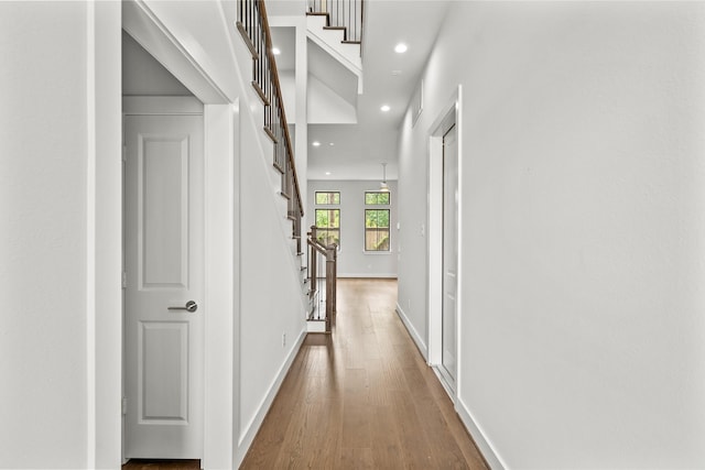1705 Bologna Ln, Houston, TX 77055 - photo 16