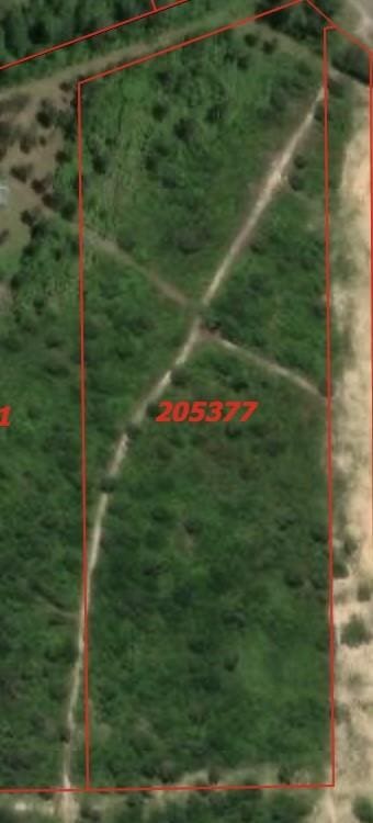 FM943 Rad, Livingston, TX 77351 - photo 1