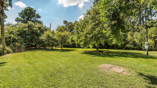 25822 Bridle Creek Dr N, Magnolia, TX 77355 - photo 37