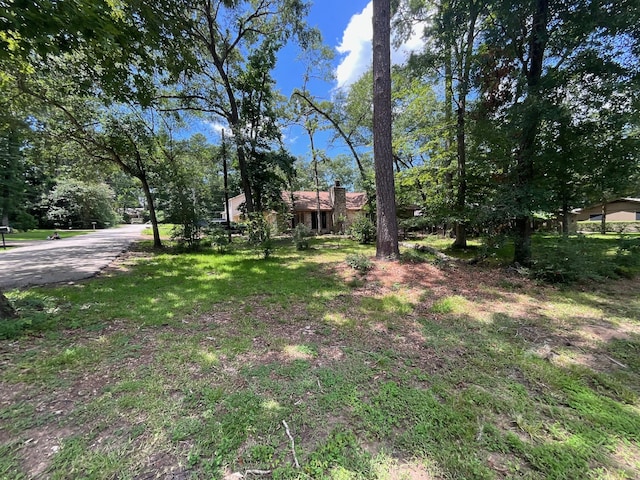 119 Sun City Ln, Conroe, TX 77304 - photo 3