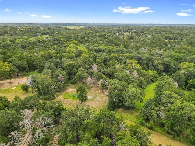 315 Evergreen Ln, Caldwell, TX 77836 - photo 3