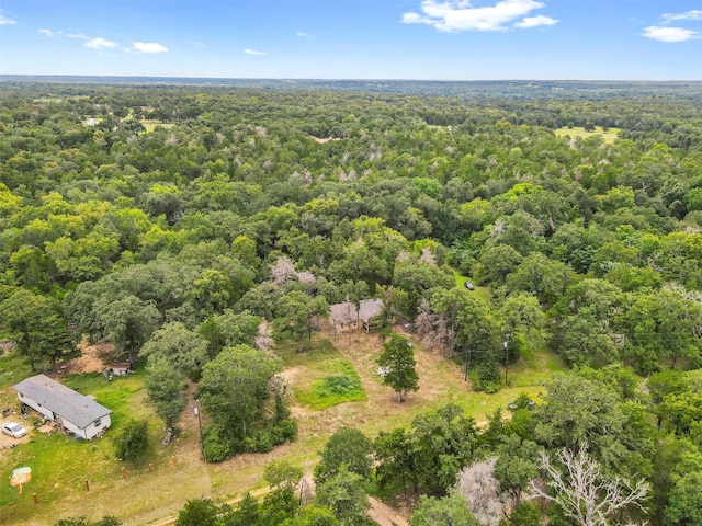 315 Evergreen Ln, Caldwell, TX 77836 - photo 5