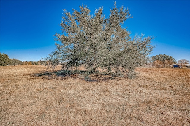 0 Meyer Rd, Needville, TX 77461 - photo 15