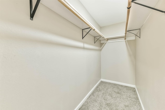 7929 Ritz St, Houston, TX 77028 - photo 9
