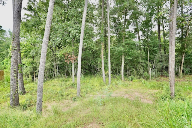 12161 La Salle River Rd, Conroe, TX 77304 - photo 26