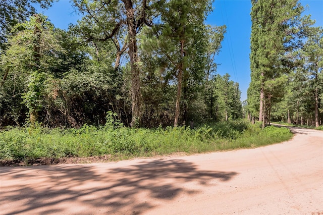 9238 Rocky Ridge Ln, Madisonville, TX 77864 - photo 12