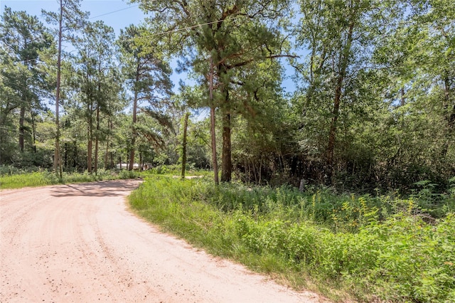 9238 Rocky Ridge Ln, Madisonville, TX 77864 - photo 10