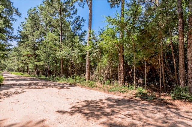 9238 Rocky Ridge Ln, Madisonville, TX 77864 - photo 15