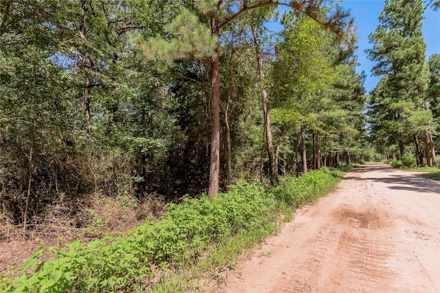 9238 Rocky Ridge Ln, Madisonville, TX 77864 - photo 17