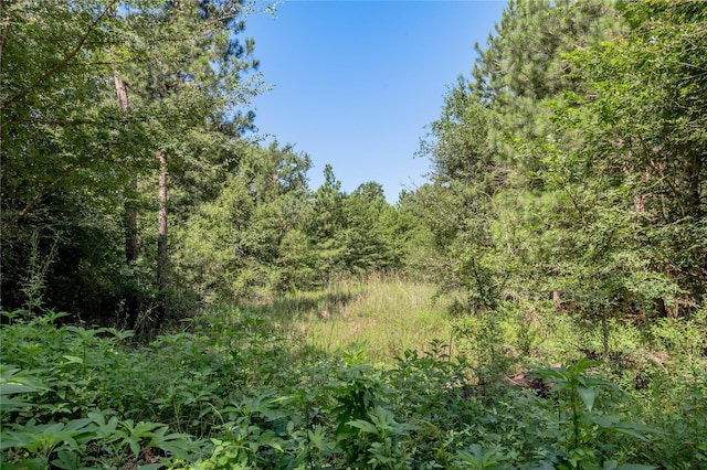 9238 Rocky Ridge Ln, Madisonville, TX 77864 - photo 14