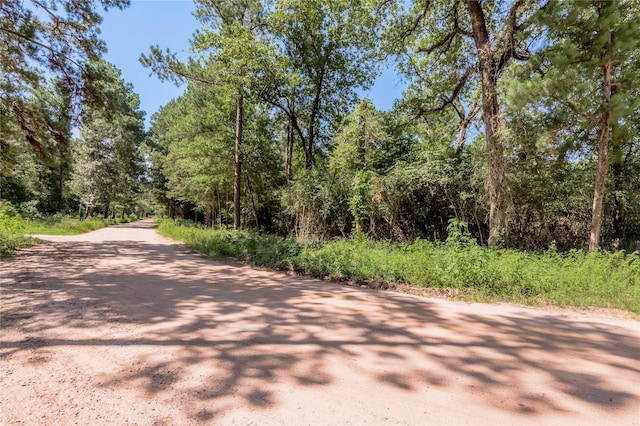 9238 Rocky Ridge Ln, Madisonville, TX 77864 - photo 11