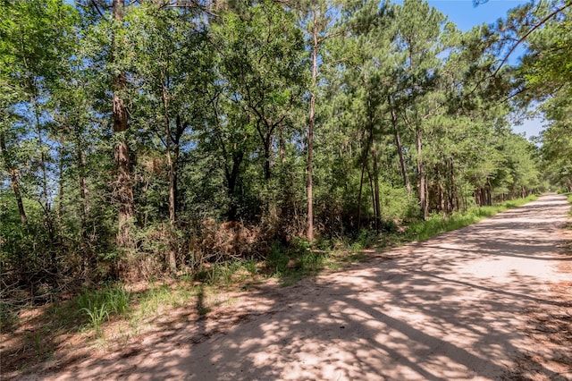 9238 Rocky Ridge Ln, Madisonville, TX 77864 - photo 18