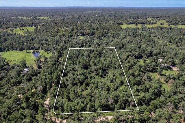 9238 Rocky Ridge Ln, Madisonville, TX 77864 - photo 2