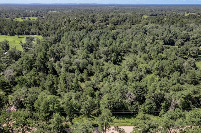 9238 Rocky Ridge Ln, Madisonville, TX 77864 - photo 25