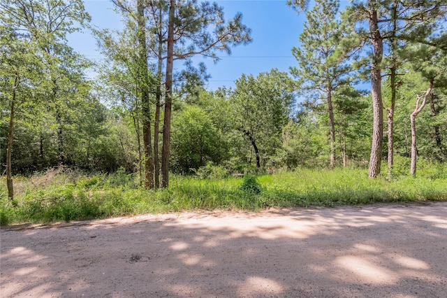 9238 Rocky Ridge Ln, Madisonville, TX 77864 - photo 4