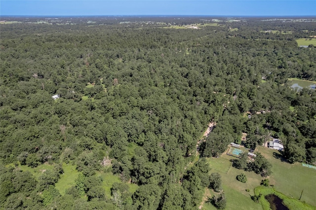 9238 Rocky Ridge Ln, Madisonville, TX 77864 - photo 22