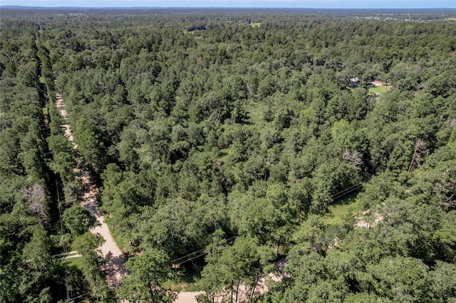 9238 Rocky Ridge Ln, Madisonville, TX 77864 - photo 26
