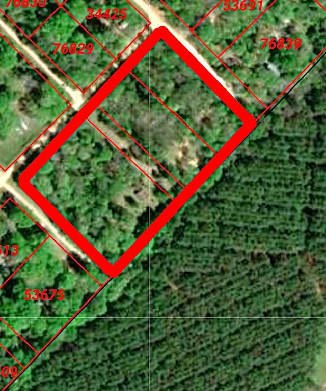400 Becker Blvd, Livingston, TX 77351 - photo 9
