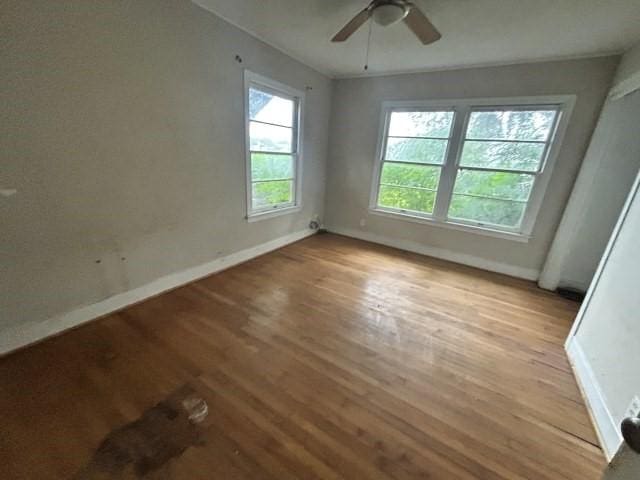 702 E Mesquite Ln, Victoria, TX 77901 - photo 15