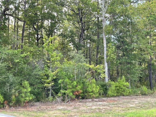 185 Rim Rock Rd, Huntsville, TX 77340 - photo 2