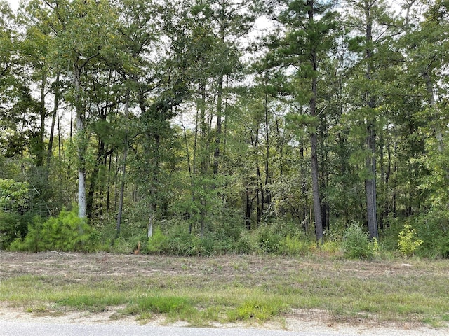 185 Rim Rock Rd, Huntsville, TX 77340 - photo 3