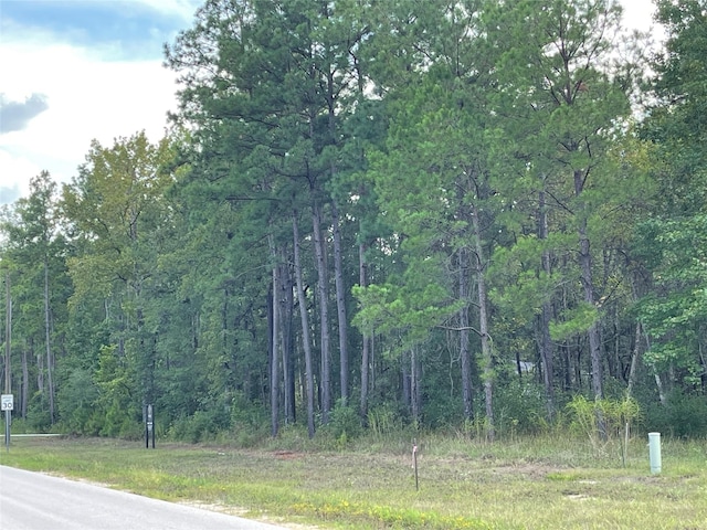 185 Rim Rock Rd, Huntsville, TX 77340 - photo 4