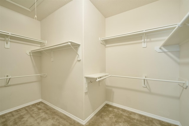 30511 S Sulphur Creek Dr, Magnolia, TX 77355 - photo 26