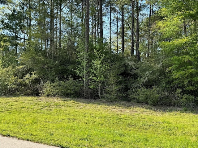 5-27-6 Feldspar Ln, Huntsville, TX 77340 - photo 3