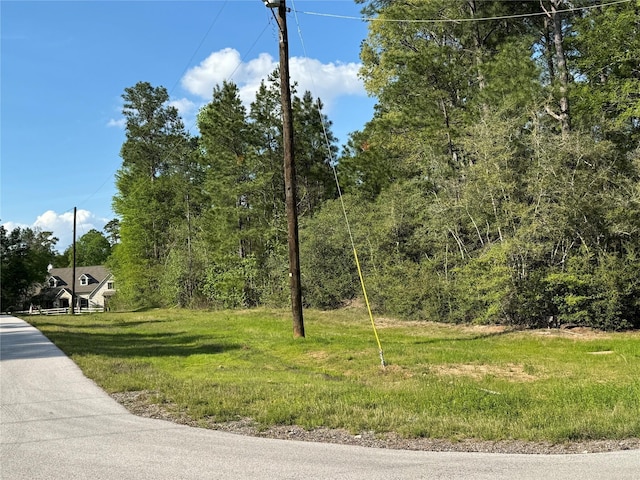 5-27-6 Feldspar Ln, Huntsville, TX 77340 - photo 4