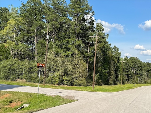 5-27-6 Feldspar Ln, Huntsville, TX 77340 - photo 6