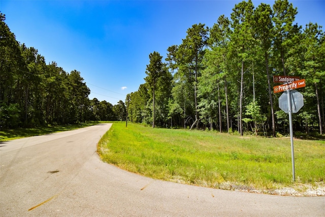 5-27-6 Feldspar Ln, Huntsville, TX 77340 - photo 8