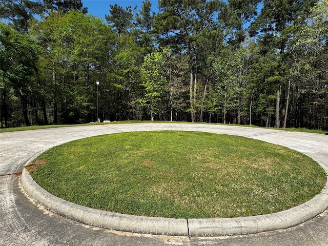 9579 Longmire Oaks Dr, Conroe, TX 77304 - photo 6