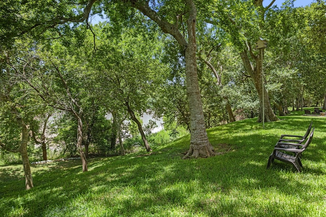 3211 Wellspring Lake Dr, Fulshear, TX 77441 - photo 45