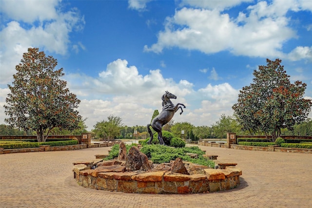 2302 Iris Cove Ct, Hockley, TX 77447 - photo 2