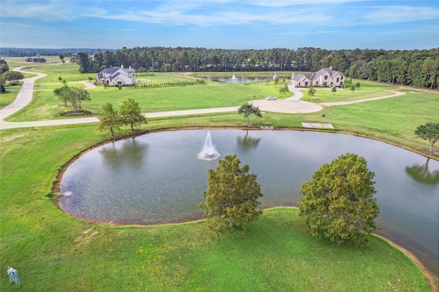2302 Iris Cove Ct, Hockley, TX 77447 - photo 6