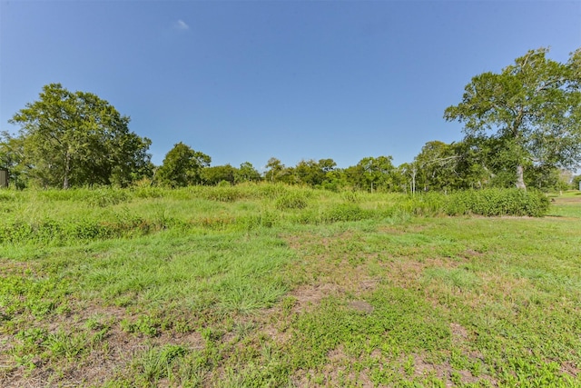 5610 Arrowhead Point Dr, Baytown, TX 77523 - photo 9