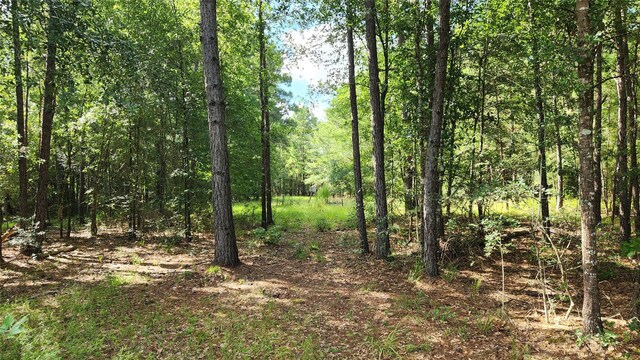 TBD Walker Ln, Huntsville, TX 77320 - photo 17