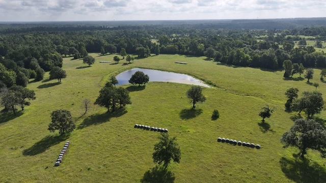 TBD Walker Ln, Huntsville, TX 77320 - photo 3