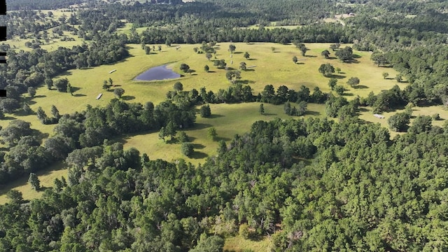TBD Walker Ln, Huntsville, TX 77320 - photo 29