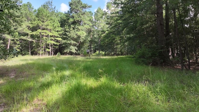 TBD Walker Ln, Huntsville, TX 77320 - photo 33