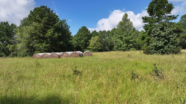 TBD Walker Ln, Huntsville, TX 77320 - photo 34