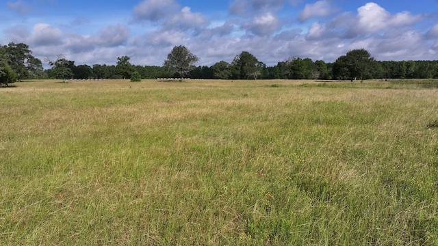 TBD Walker Ln, Huntsville, TX 77320 - photo 20