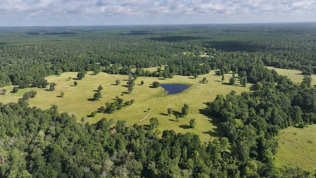 TBD Walker Ln, Huntsville, TX 77320 - photo 23