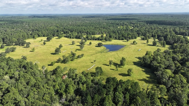 TBD Walker Ln, Huntsville, TX 77320 - photo 24